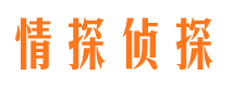 白朗市调查公司